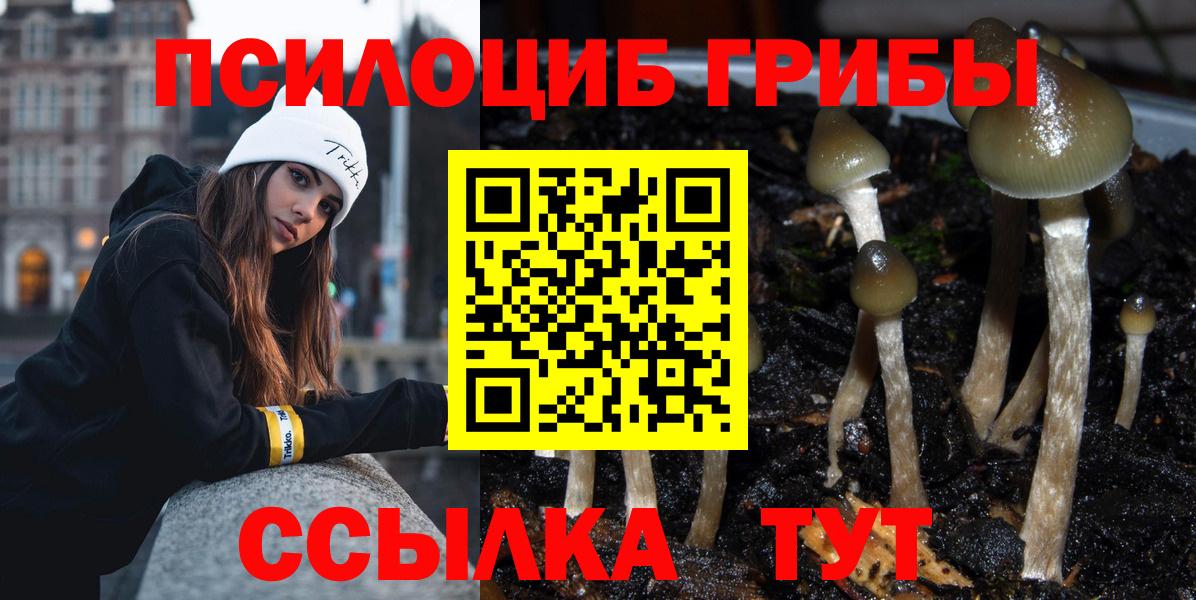Галлюциногенные грибы GOLDEN TEACHER  Вход с VPN  Галлюциногенные грибы мицелий  Малгобек 